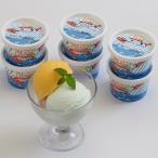 〈しまなみドルチェ〉ジェラートギフト　１２個入り　配送料込み