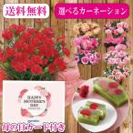 母の日 プレゼント 花 カーネーション鉢植え+両口屋是清　贈る花