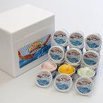 〈しまなみドルチェ〉ジェラートギフト　１８個入り　配送料込み