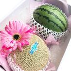  фрукты подарок Ba-rus дыня . маленький шар .... комплект 