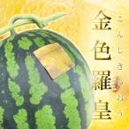 訳あり 金色羅皇 1玉入り 高級 大玉 すいか ご家庭用 贈答用不可 マツコの知らない世界で紹介された品種!