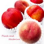  персик & нектарин пробный комплект 