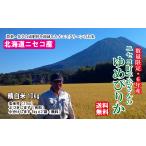 【新米入荷】5年産 10キロ ニセコ産 精白米　ゆめぴりか 安心　イエスクリーン 送料無料 減農薬 減化学肥料 平松さん 離乳食にも  玄米可11kg