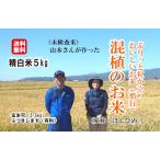 話題の混植栽培、畑栽培のお米　【混植】【陸稲】　混植栽培 愛称 ほしひめ　白米　5キロ　精米無料　共和町　玄米可　ぶづき可　受注精米　送料無料