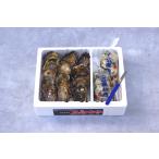  Hiroshima префектура производство сырая устрица ...1kg.. имеется 2kg.. маленький блок производство человек прямая поставка 