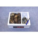 広島県産生牡蠣　むき身700ｇと殻付き3kg　かき小町 　生産者直送