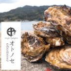 オトノセ　殻付き1.5kg　【在庫限り！】