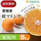 媛マドンナ 5kg 家庭用  愛媛県 宇和島産 送料無料※一部地域を除く