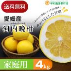 ●河内晩柑　かわちば