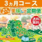 ショッピング甘平 旬を選べる美味しさ定期便 3ヵ月コース 愛媛県・宇和島産 みかん柑橘＆野菜 送料無料※一部地域を除く