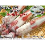 [. включено период :9 месяц 30 до дня ]. sashimi для .. белый .( сырой или рефрижератор ) примерно 1.0kg 8~14 кубок < Япония море производство * гора ..>