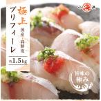 ブリ ぶり 鰤 新物 ブリフィーレ 約1.3kg お刺身