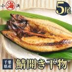 千葉県産のサバを薄塩で丁寧に仕上げた国内加工品!鯖ひもの 5枚 誕生日 贈り物 国産 ギフト 小浜海産物