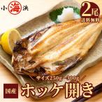 ほっけ ホッケ 干物 ひもの 2尾 250〜300g 国産