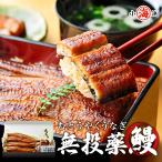 うなぎ ウナギ 鰻 蒲焼き 鰻蒲焼き 国産 鹿児島県産 無投薬 140g×4尾 誕生日 お中元 父の日 誕生日プレゼント 贈り物 【送料無料】