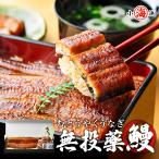 ショッピングうなぎ うなぎ 蒲焼き 鰻 国産 鹿児島県産 無投薬 特大 約200g×1尾 化粧箱 ギフト プレゼント 誕生日 母の日 御祝い ウナギ