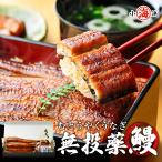 父の日 安心 贈り物 うなぎ蒲焼き 国産 鹿児島県産 無投薬 約140g×2尾 化粧箱 ギフト 長焼き うなぎ 鰻 ウナギ プレゼント 誕生日 お祝い お中元 送料無料