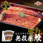 【完全無投薬】鹿児島県産 うなぎ蒲焼き粋 約80g×5パック 鰻師 無投薬 ウナギ 蒲焼き 鰻 うなぎ オーガニック 誕生日 贈り物 国産 ギフト 小浜海産物