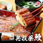 うなぎ蒲焼き 国産 鹿児島県産 無投薬 160g×3尾 化粧箱 うなぎ 鰻 ウナギ 誕生日 贈り物 ギフト 送料無料 小浜海産物