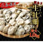 特価 広島県産 牡蠣 訳あり 不揃い（欠けあり） 冷凍生牡蠣 1kg かき カキ 牡蠣 大粒 広島産 剥きかき 送料無料