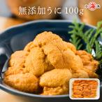 ウニ うに 100g×2パック 生うに 無添