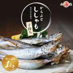 ショッピングから ししゃも 子持ち 干物 からふとししゃも 1kg(500g×2パック) 卵率15%以上 アイスランド産