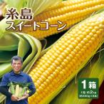 [ free shipping ] thread island sweet corn Fukuoka production 1 box approximately 2kg( approximately 350g×6ps.@) corn maize corn . taste morning .. morning .. Kyushu Fukuoka thread island city .. Bon Festival gift 