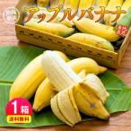  Okinawa 1 коробка примерно 1kg(6~20шт.@) banana яблоко местного производства ваш заказ . данный земля прямая поставка от производителя фрукты фрукты ..... Kyushu 