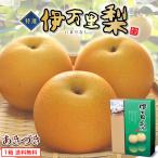梨 あきづき 佐賀 送料無料 伊万里梨 1箱 約2.5kg(5~8玉) 産地直送 農家直送 赤梨 ナシ 甘梨 和梨 フルーツ 果物 贈答 ギフト まるかじり九州