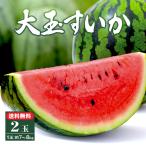 ショッピングスイカ ＼ご予約受付中！／  【送料無料】 大玉スイカ 2玉 2L (約7〜8kg) ×2玉 熊本県産 種あり 秀品 祭りばやし 熊本 植木 産地直送 贈答 ギフト お取り寄せ