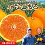 ショッピングデコポン 不知火 熊本 佐賀 送料無料 完熟でこまる 2箱セット 1箱あたり約2kg(L〜3L混合 6〜9玉) 《 デコポン と 同品種 》 しらぬい 産地直送 お取り寄せ まるかじり九州