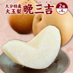 | сейчас season распродажа конец | [ 3 коробка и больше бесплатная доставка ] груша . три ... san ..2 коробка примерно 4kg большой шар Ooita . груша . сырой прямая поставка от производителя .. груша есть перевод нет 