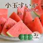 スイカ 熊本 ひとりじめ 3玉セット 1玉あたり約2kg 小玉すいか 九州 産地直送 ギフト プレゼント 贈答 お中元 お供え 4玉以上で 送料無料 まるかじり九州