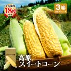とうもろこし スイートコーン 大分 卯野農場 3箱セット 1箱あたり約2kg(約350g×6本) 高原 恵味 甘い 朝採れ 国産 お取り寄せ 秀品 産地直送 まるかじり九州