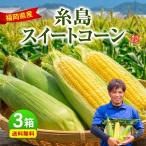 とうもろこしスイートコーン福岡糸島...
