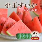 スイカ 熊本 送料無料 ひとりじめ 4玉セット 1玉あたり約2kg 小玉すいか 九州 産地直送 ギフト プレゼント 贈答 お中元 お供え まるかじり九州