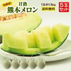  синий мясо дыня подарок бесплатная доставка Kumamoto 5 шар комплект 1 шар на примерно 1.5kg. после зеленый .. Kyushu . плата ваш заказ сельское хозяйство дом прямая поставка прямая поставка от производителя .. производство прямой фрукты ..... Kyushu 