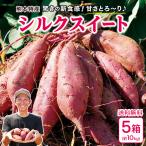シルクスイート さつまいも 熊本 送料無料 5箱セット 1箱あたり約2kg(9〜15本入) いも 生芋 干し芋 焼き芋 産地直送 九州 お取り寄せ 甘い まるかじり九州