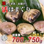 . ... местного производства натуральный очень большой 5 штук (1 шт 130g~160g) полная масса 700~750g( регион бесплатной доставки есть )( Chiba префектура прямая поставка от производителя ) цвет рецепт & сохранение способ есть 