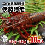 伊勢海老 約1.65kg(150〜180g×10尾)活〆お刺身用冷凍〔送料無料〕5種類のカラーレシピ・保存方法付 動きませんのでラクラク調理