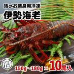 伊勢海老1.5ｋg（150〜180g×10尾）活〆お刺身用冷凍〔送料無料〕5種類のカラーレシピ・保存方法付 動きませんのでラクラク調理