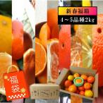 みかん みはや 夕焼け姫 はるひ 津之望 石地 たまみ 完熟 高糖度 甘い 送料無料 家庭用  (2002) こだわりのおみかん福袋2026-IRODORI- 人気4〜5品種 約2kg入