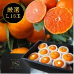  мандарин .. мульти- . сырой подарок по случаю конца года высота сахар раз .. бесплатная доставка подарок высококлассный сельское хозяйство дом прямая поставка свежий . толщина (106) меласса tsu круг чёрный. несессер ( большой ) L размер тщательно отобранный premium 18 шар входить 