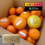 爆買 みかん 不知火 せとか はるか はるひ 津之輝 たまみ 津之望 寿太郎 完熟 甘い 送料無料 ご家庭用 (999) お楽しみかん サイズ混合 家庭用 約2kg入
