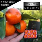 夕焼け姫 みかん 完熟 マルチ お歳暮 高糖度 甘い 送料無料 ギフト 高級 農家直送 新鮮 愛知 (702) 夕焼け姫 黒の化粧箱（中） Ｍサイズ 厳選 プレミアム 12玉入