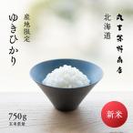 米アレルギー アトピー　新米 北海道産 ゆきひかり お試し 750g 5合 玄米 白米 令和7年産 米 お米 送料無料