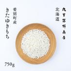 きたゆきもち 750g 5合 北海道愛別産 令和5年産 送料無料