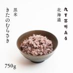 黒米 きたのむらさき 750g 北海道産 送料無料