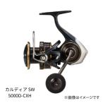  Daiwa 22ka Rudy aSW 5000D-CXH вращающийся катушка DAIWA CALDIA SW универсальный shore jigging синий предмет рыбалка рыбалка 