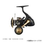 ダイワ 23 BG SW 5000D-CXH